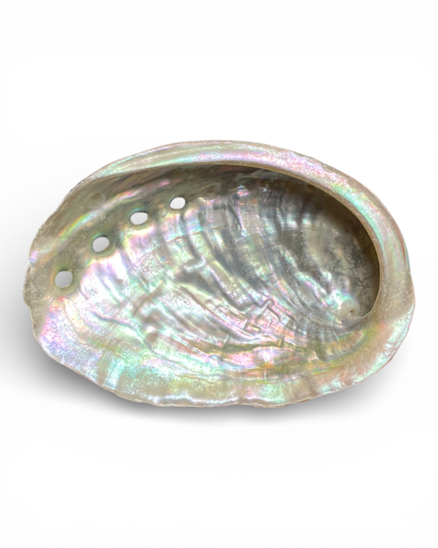 Abalone-Muschel Räucherschale 10 cm – handgefertigt, Naturprodukt, 🧘 für Ausräuchern Wohnung, Haus, Meditation & Energie