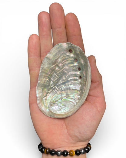 Abalone-Muschel Räucherschale – Medium ca. 10 cm Hand