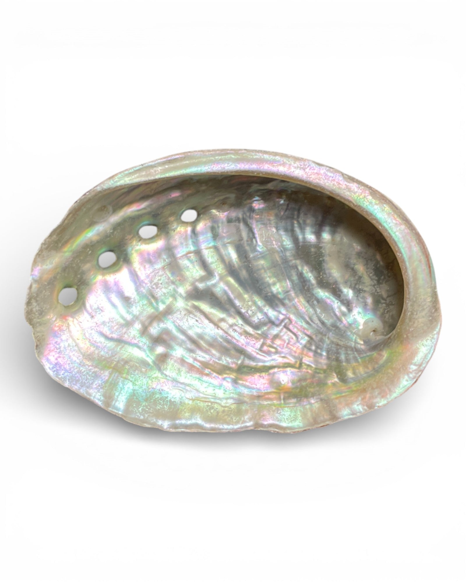 Abalone-Muschel Räucherschale – Medium ca. 10 cm oben