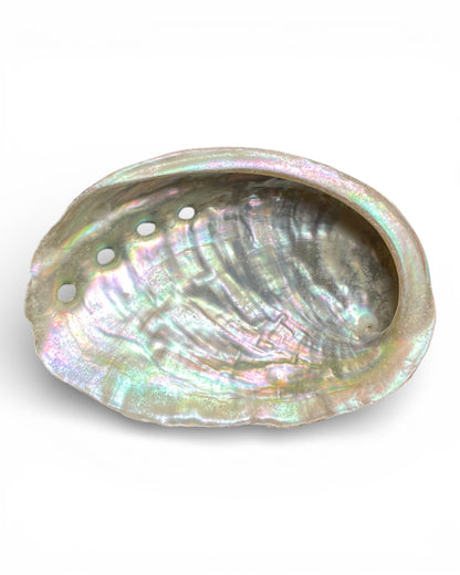 Abalone-Muschel Räucherschale – Medium ca. 10 cm oben