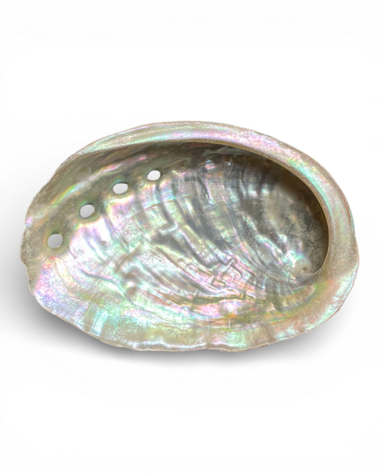 Abalone-Muschel Räucherschale – Medium ca. 10 cm oben