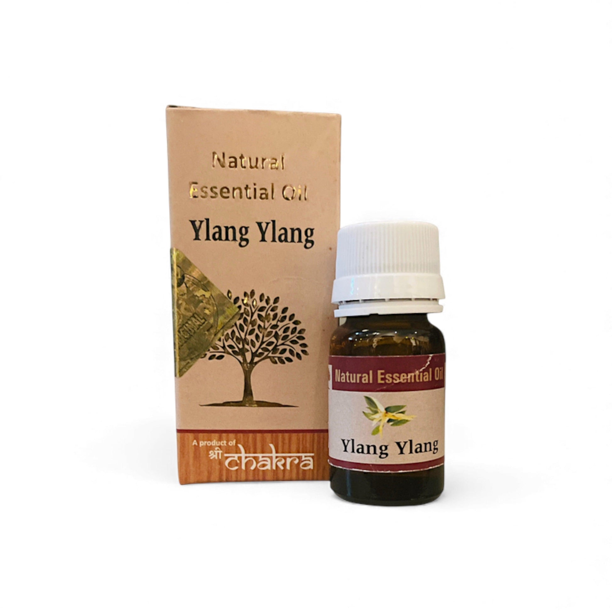 Chakra Natürliches ätherisches Öl Ylang Ylang 10ml Fläschchen und Verpackung vorne