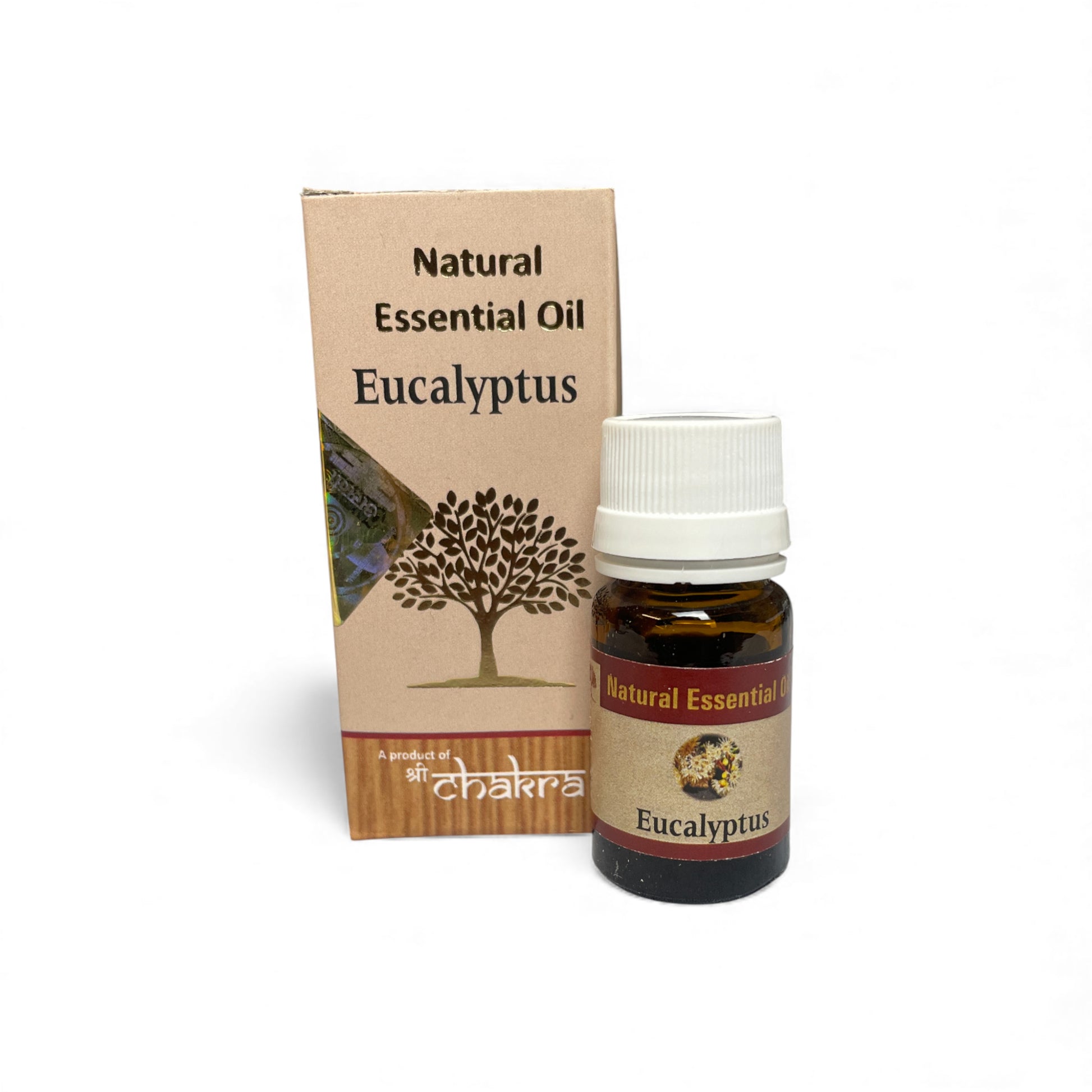 Chakra Natürliches Essential Öl Eukalyptus, 10ml