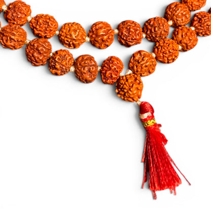 Rudraksha Mala Mittel – Guru-Bead mit rotem Seidentassel, 108 Perlen à 8 mm