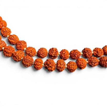 Rudraksha Mala Mittel – Nahaufnahme der 8 mm Perlen mit natürlichen Mukhi-Rillen