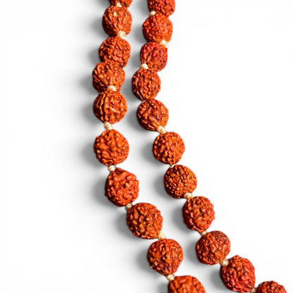 Strukturdetail echter Rudraksha-Samen – natürliche Mukhi-Rillen, 6mm Perlen, Himalaya Vibes Bern