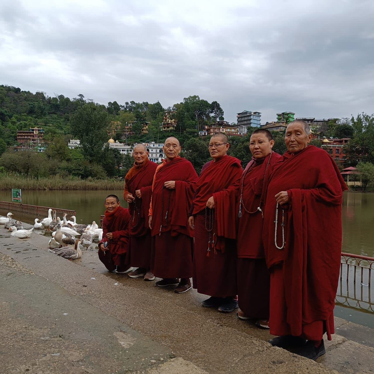 Die tibetischen Nonnen von Tso Pema