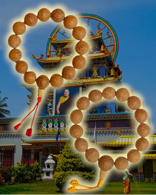 Tibetisches Mala Armband aus Bodhi Samen, gesegnet im Namdroling Kloster