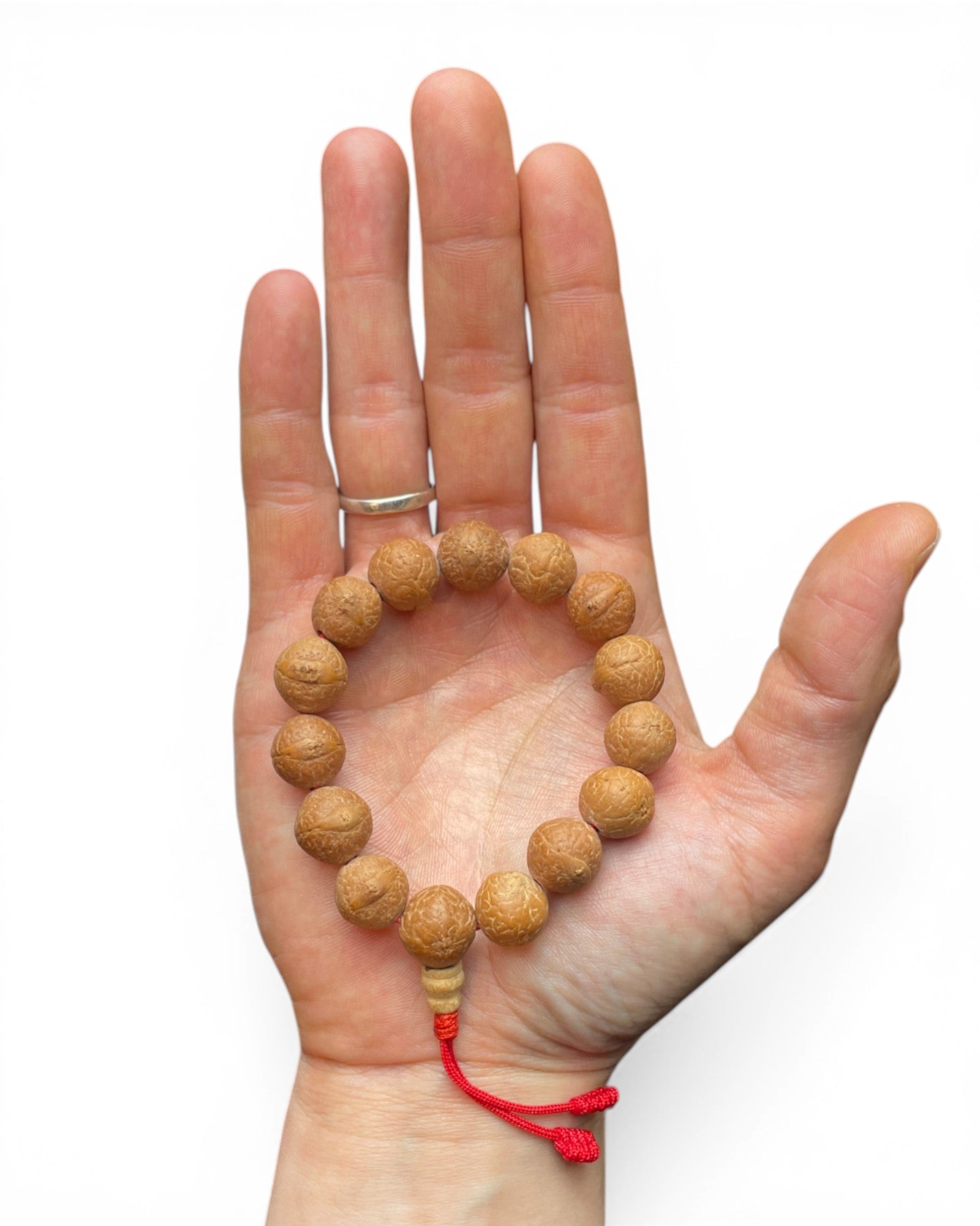 Tibetisches Mala Armband aus Bodhi Samen in einer Hand präsentiert